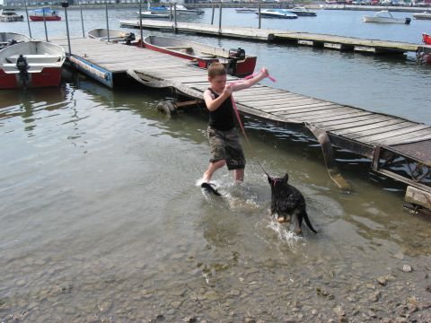 1990 Ford F-250 - A boy and his dog enjoy a day at the marina, splashing in the water near the docks.