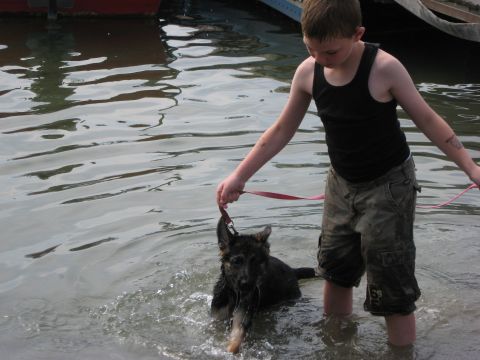 1990 Ford F-250 - A boy and his dog enjoy a day in the water near docked boats.
