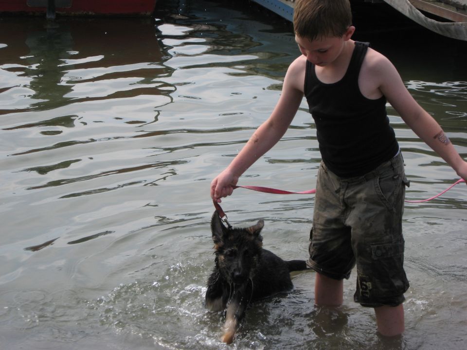Boy in black tank top and cargo shorts holding a leash attached to a German Shepherd dog in shallow water