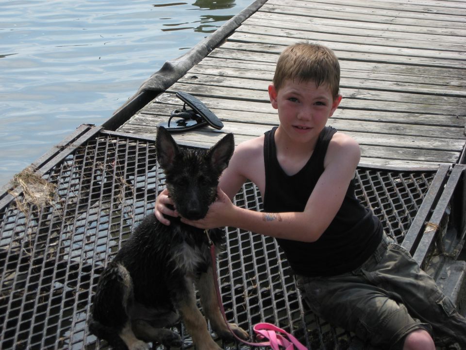 Boy petting a wet German Shepherd puppy on a wooden dock next to water