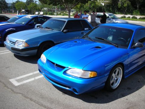 1990 Ford Mustang - Two blue Ford Mustangs are parked side-by-side, with a third Mustang partially visible behind them.