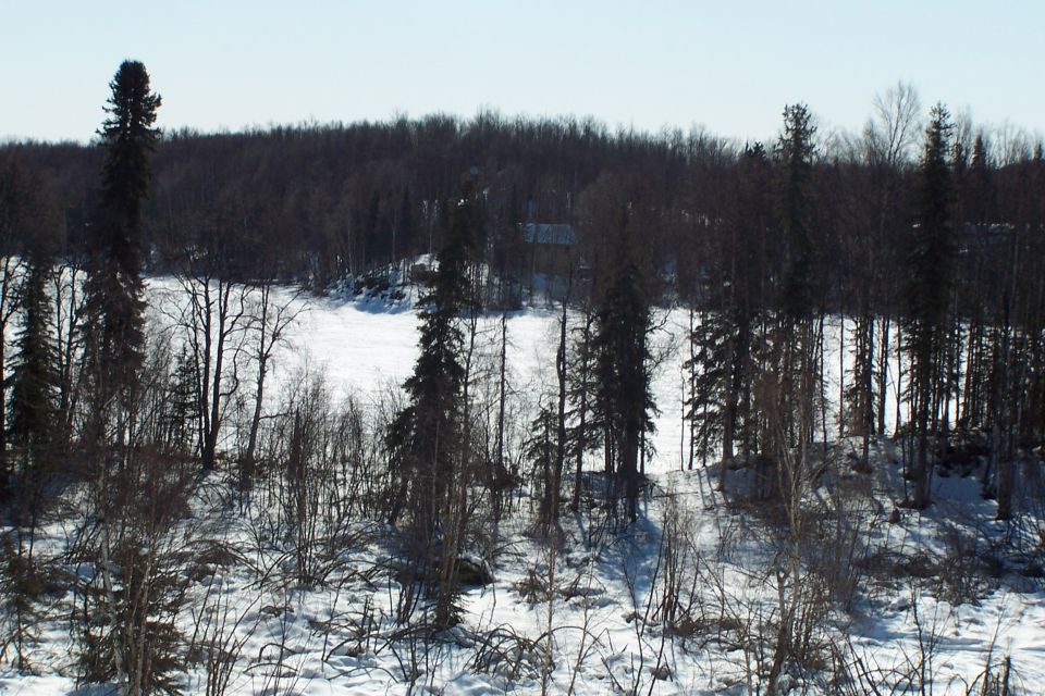 snowy landscape with bare trees and evergreens, a frozen lake or river in the background