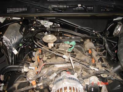 1998 Ford Crown Victoria - Engine bay of a 1998 Ford Crown Victoria, showing the complex arrangement of hoses and wiring.