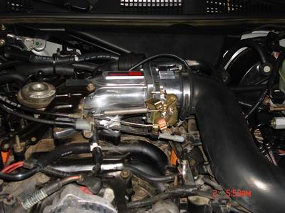 1998 Ford Crown Victoria - Close-up view of engine components, including the intake manifold and associated hoses and hoses.