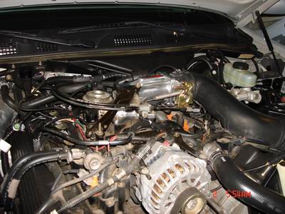 1998 Ford Crown Victoria - The engine bay of a 1998 Ford Crown Victoria is visible, with numerous components and wiring harnesses.