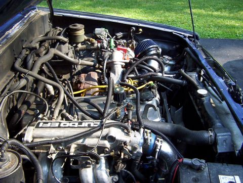 1986 Toyota Hilux - Engine bay of a 1986 Toyota Hilux, showing the TURBO EFI engine.