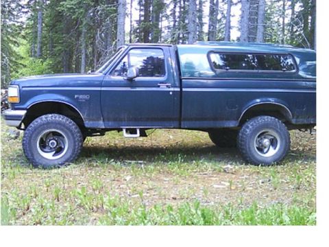 1980 Ford F-250 photo