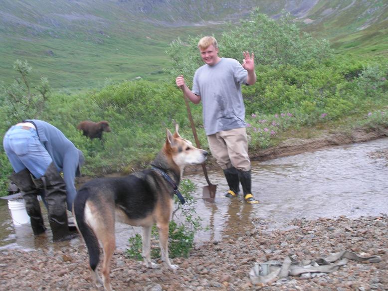 People and dogs in a stream with a brown animal in the background