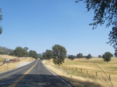 1994 Ford F-150 - View from inside a vehicle driving on a rural road, with rolling hills and scattered trees under a bright blue sky.