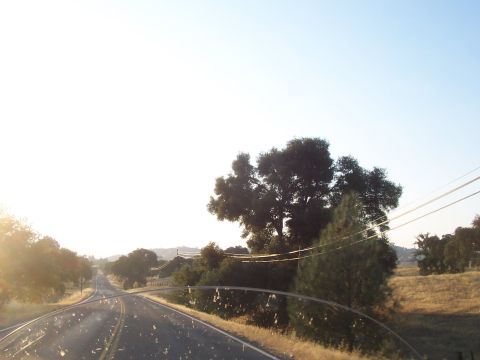 1994 Ford F-150 - Driving on a country road with sun glare and trees lining the sides.
