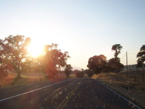 1994 Ford F-150 - The sun shines brightly over a rural landscape as seen from a vehicle on the road.