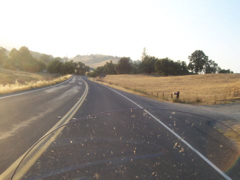 1994 Ford F-150 - A view down a two-lane road in a dry, rural landscape with trees and hills under a bright, hazy sky.