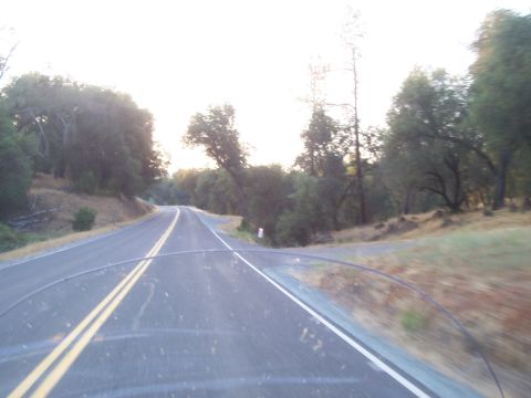 1994 Ford F-150 - A view from inside a vehicle shows a winding road through a sun-dappled forest landscape.