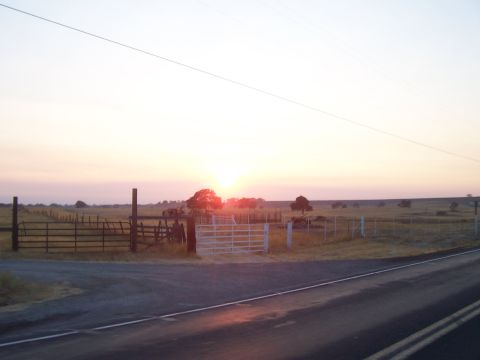1994 Ford F-150 - A rural scene unfolds with a fence line and trees under a soft sunset sky.