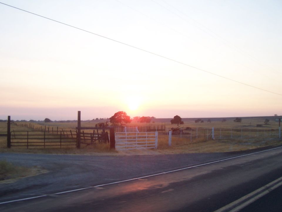 roadside view of a fenced field with trees and a sunset in the distance