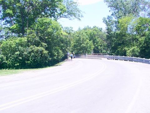 1998 Ford Taurus - A scenic view of a road leading to a bridge, surrounded by lush green trees on a sunny day.