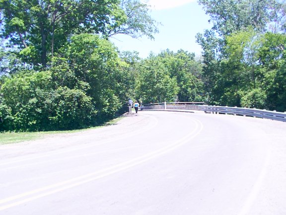Road curving towards a bridge with trees lining the sides