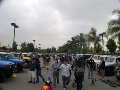 2007 Toyota FJ Cruiser - A gathering of Toyota FJ Cruisers with owners socializing in a parking lot.
