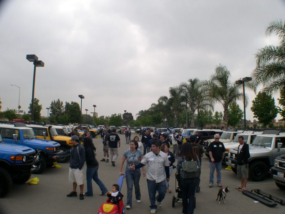 Several Toyota FJ Cruisers parked in a lot with people milling around