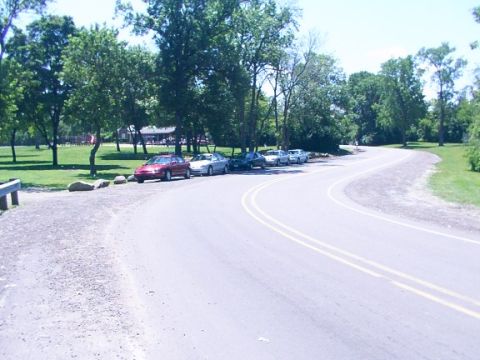 1998 Ford Taurus - A row of cars are parked on the side of a road in a park setting.
