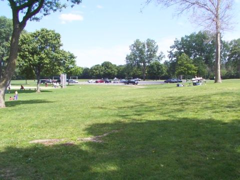 1998 Ford Taurus - Line up for show and shine