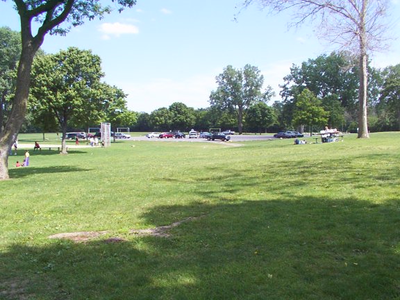 Line up for show and shine