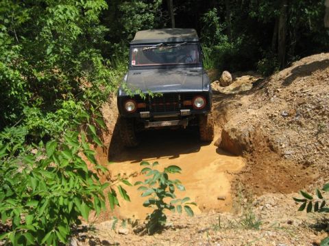 1995 Ford Bronco - This dark-colored SUV, likely a 1978-1979 Ford Bronco, tackles a challenging muddy obstacle on a wooded trail.