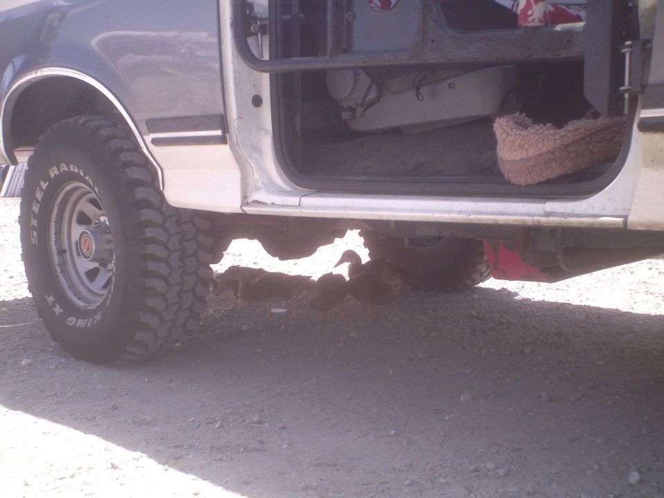 Close-up of a vehicle's undercarriage, showing a large tire and rusted-out frame section. The driver's side door is open, revealing the interior