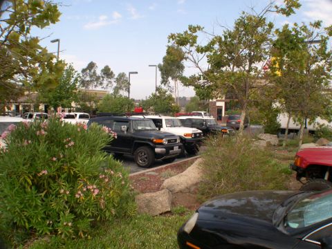 2007 Toyota FJ Cruiser - Several Toyota FJ Cruisers are parked in a lot on a sunny day.