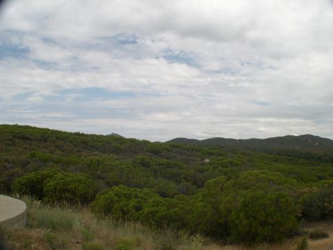2007 Toyota FJ Cruiser - A wide shot of a natural landscape with rolling hills and dense vegetation under a cloudy sky.