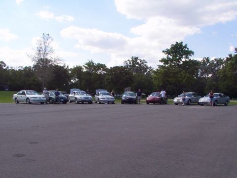 1998 Ford Taurus - Multiple sedans are parked in an outdoor lot on a cloudy day.
