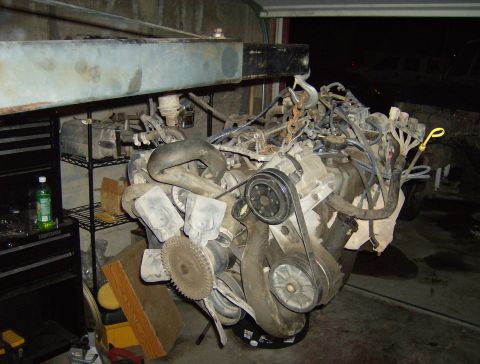 1990 Ford Bronco - 351w finally out, waiting to be sold.