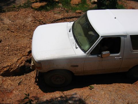 1992 Ford Mustang - White 1992 Ford Bronco navigating a dirt path.