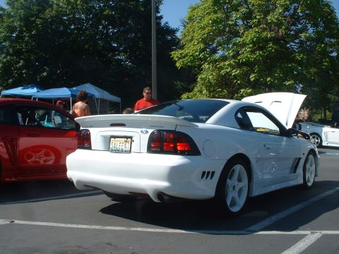 2000 Ford Crown Victoria - A white Saleen Mustang is seen from the rear, parked next to a red Mustang. The license plate clearly identifies it as a Saleen.