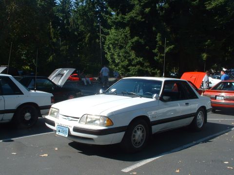 2000 Ford Crown Victoria - A white Ford Mustang is parked in a lot with other vehicles, some with hoods up.