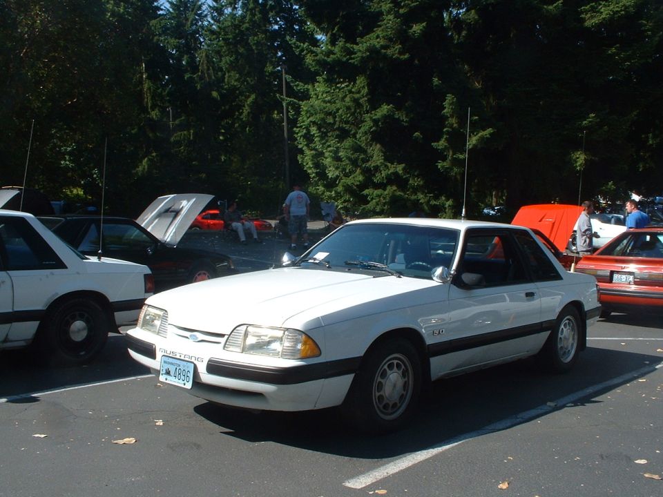 White Ford Mustang coupe parked outside, other Mustangs around