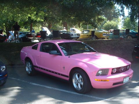 2000 Ford Crown Victoria - Pink Ford Mustang with black stripe on side, parked at outdoor car show with other vehicles.