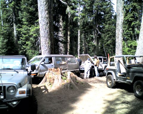 2005 Jeep Wrangler - A trail-run staging area in an old-growth conifer forest: a silver Jeep Wrangler at left, a lifted two-tone Toyota 4Runner/Hilux Surf with…