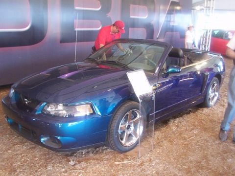1998 Ford Taurus - 2004 SVT Mustang Cobra