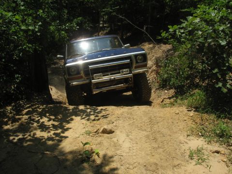 1978 Ford Bronco - A blue 1978 Ford Bronco navigates a challenging dirt path surrounded by dense foliage.