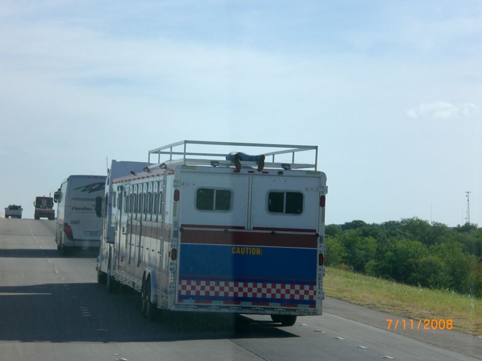 Horse trailer with blue and red stripes on highway, person on roof