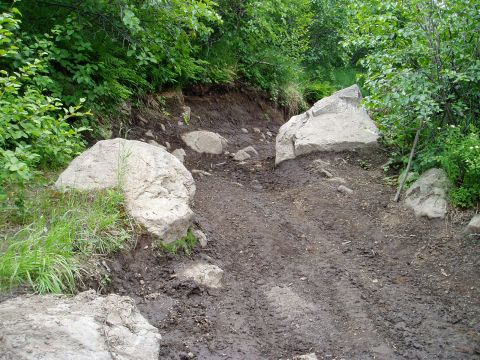 2000 Ford E350 - A muddy off-road trail is obstructed by large rocks and dense foliage.
