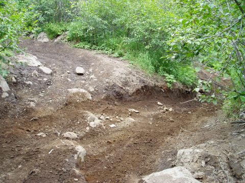 2000 Ford E350 - A rough dirt path winds through a wooded area, with loose rocks and soil visible.