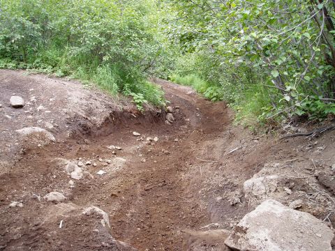 2000 Ford E350 - A rough, unpaved trail winds through a wooded area.