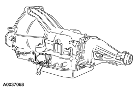 illustrations