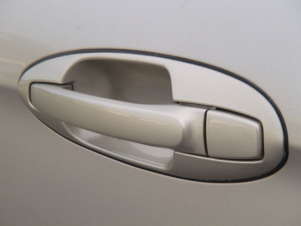 Silver door handle with black trim