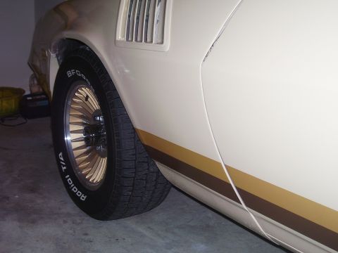 1979 Chevrolet Camaro - Close-up of a 1979 Chevrolet Camaro's side, highlighting its distinctive fender vent and striped bodywork.
