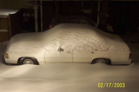 1991 Ford Crown Victoria LTD - Buried Alive