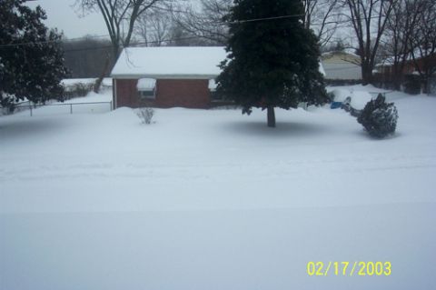 1991 Ford Crown Victoria LTD - A winter scene shows a snow-covered yard with a house and trees.