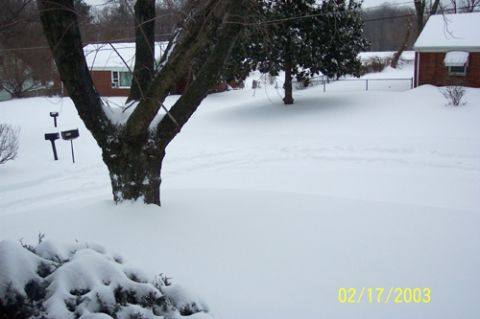 1991 Ford Crown Victoria LTD - A winter scene shows a snow-covered yard with trees and houses, indicating a cold weather environment.